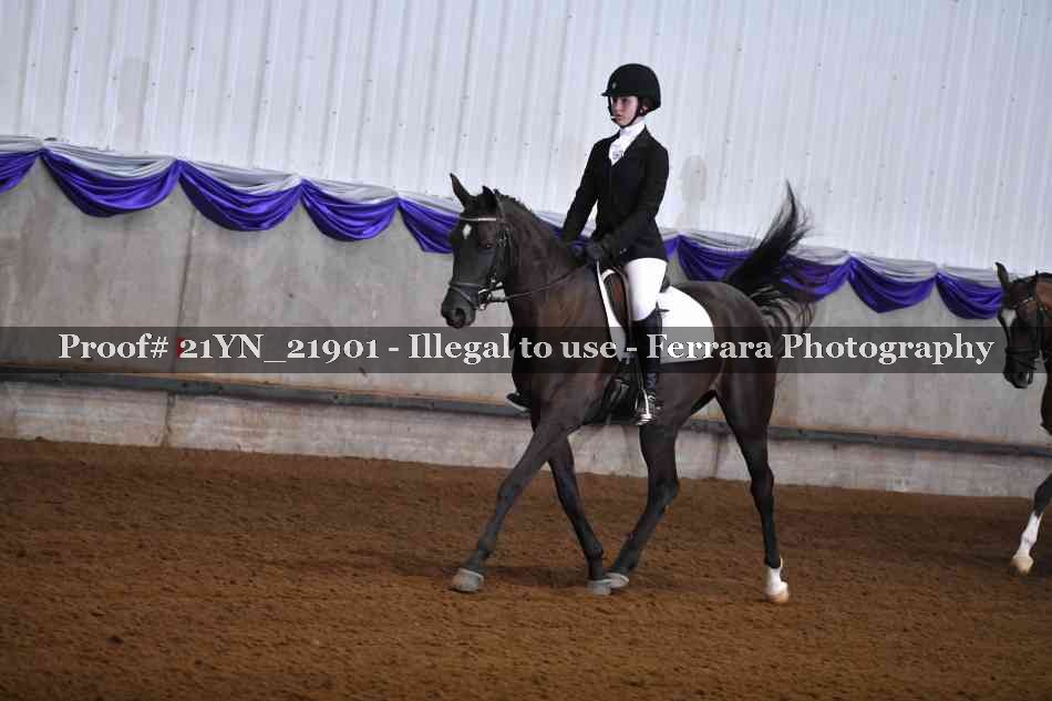 Proof 21YN_21901