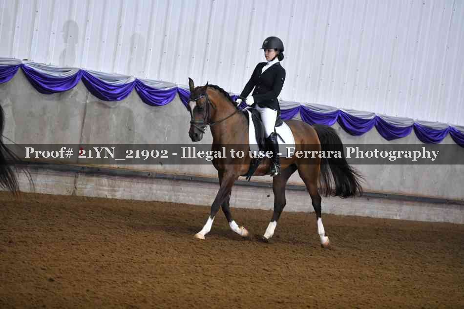 Proof 21YN_21902