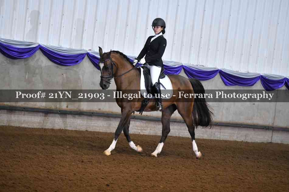 Proof 21YN_21903