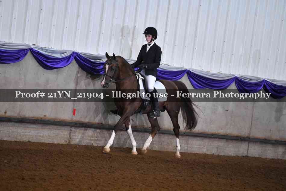 Proof 21YN_21904