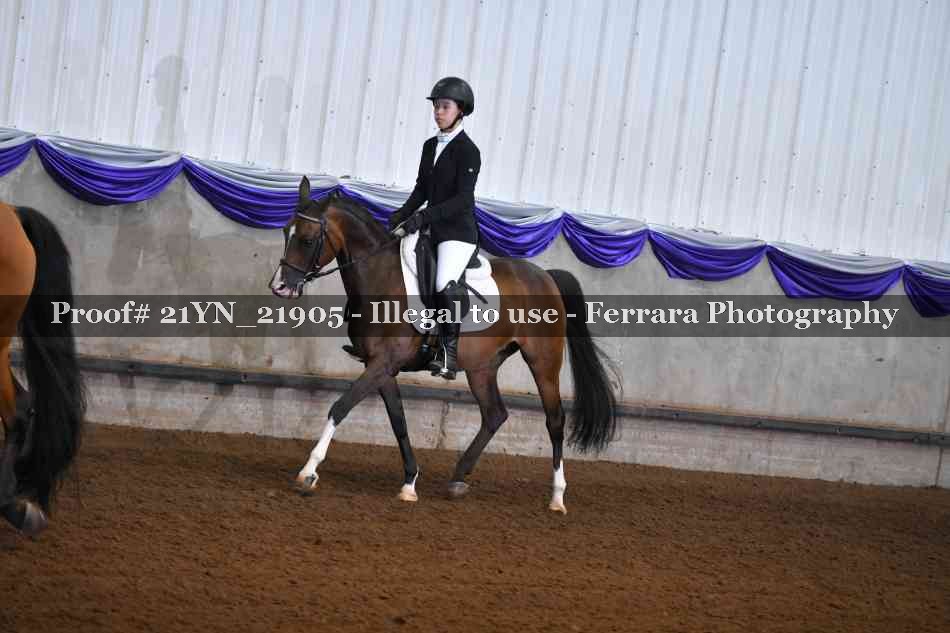 Proof 21YN_21905