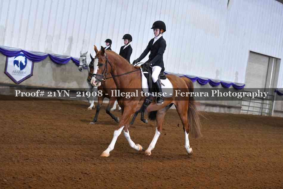 Proof 21YN_21908