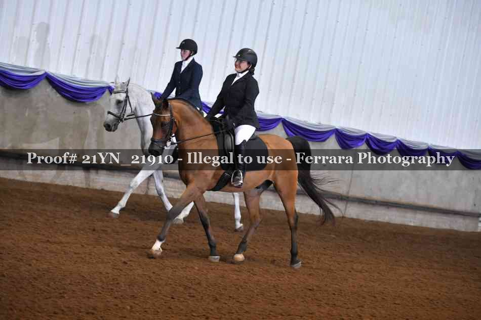 Proof 21YN_21910