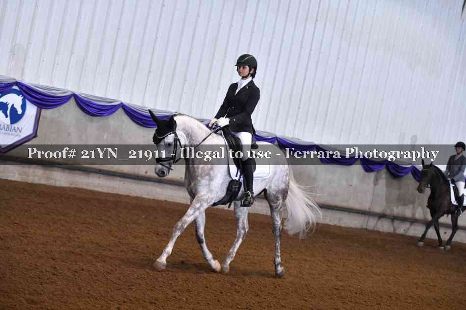 Proof 21YN_21911