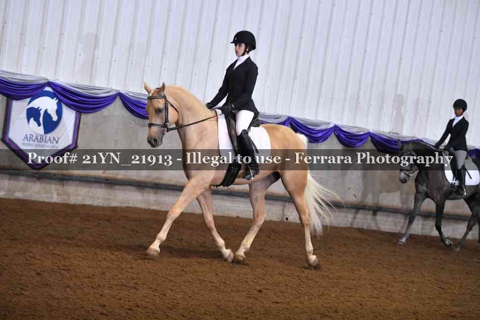 Proof 21YN_21913