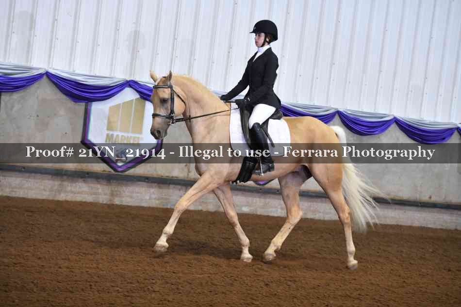 Proof 21YN_21914