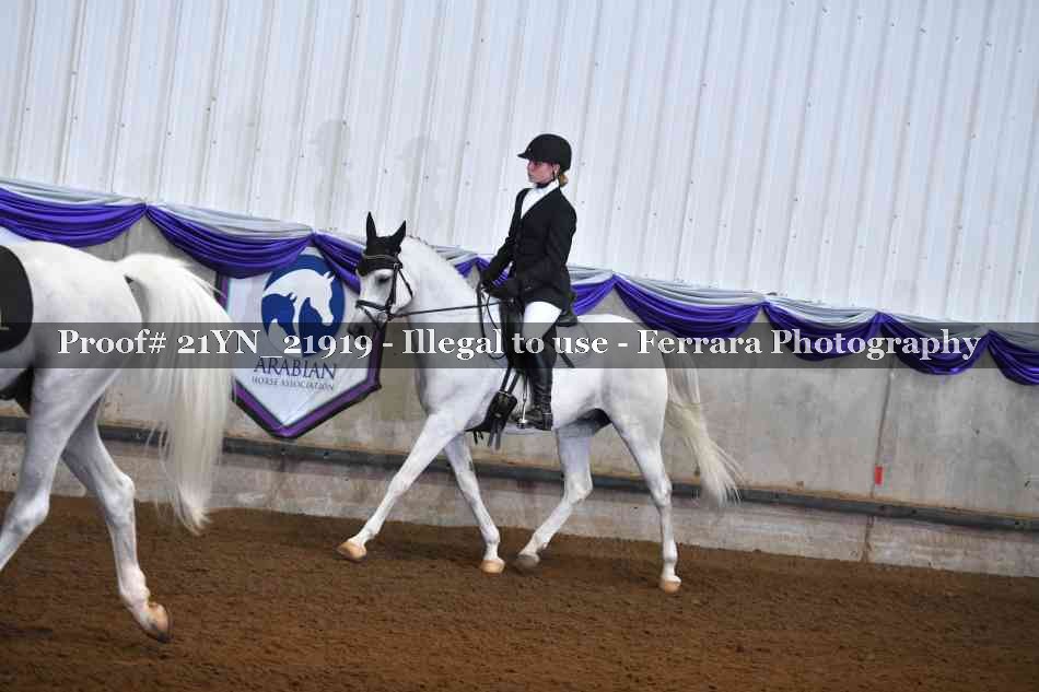 Proof 21YN_21919