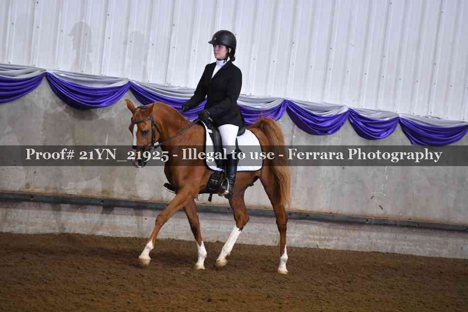 Proof 21YN_21925