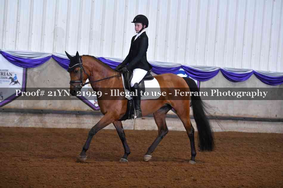 Proof 21YN_21929