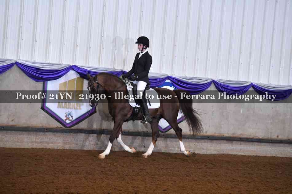 Proof 21YN_21930