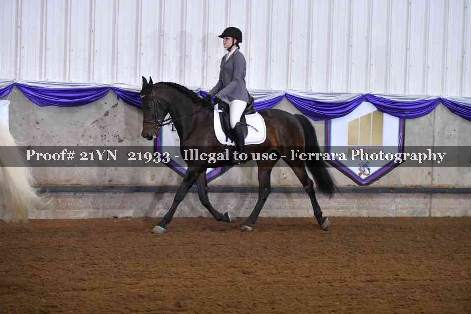 Proof 21YN_21933