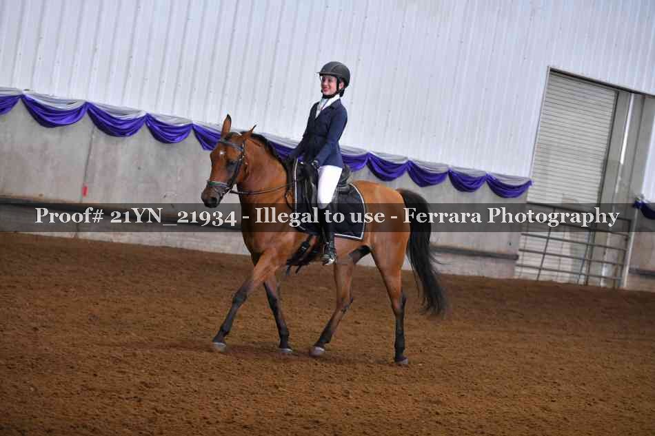 Proof 21YN_21934