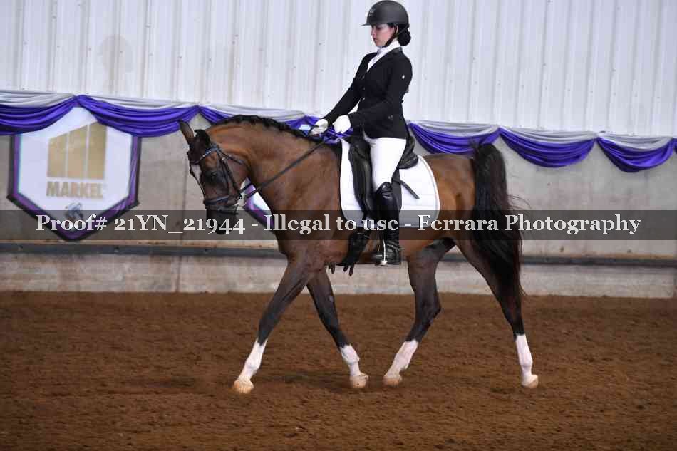 Proof 21YN_21944