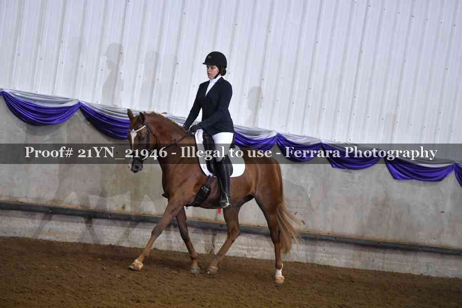 Proof 21YN_21946
