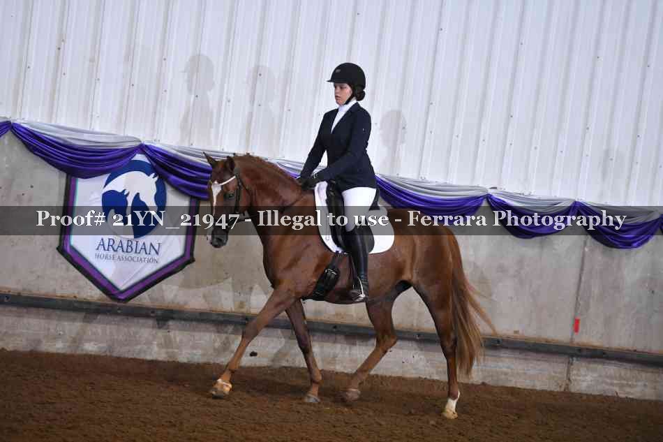 Proof 21YN_21947