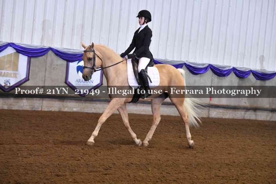 Proof 21YN_21949