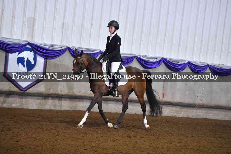 Proof 21YN_21950