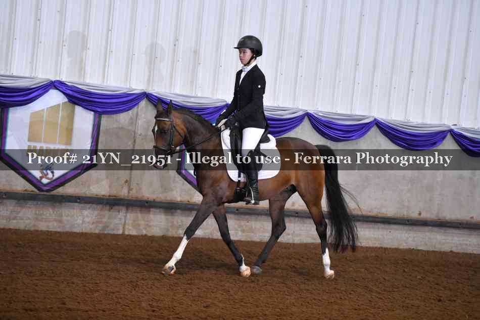 Proof 21YN_21951