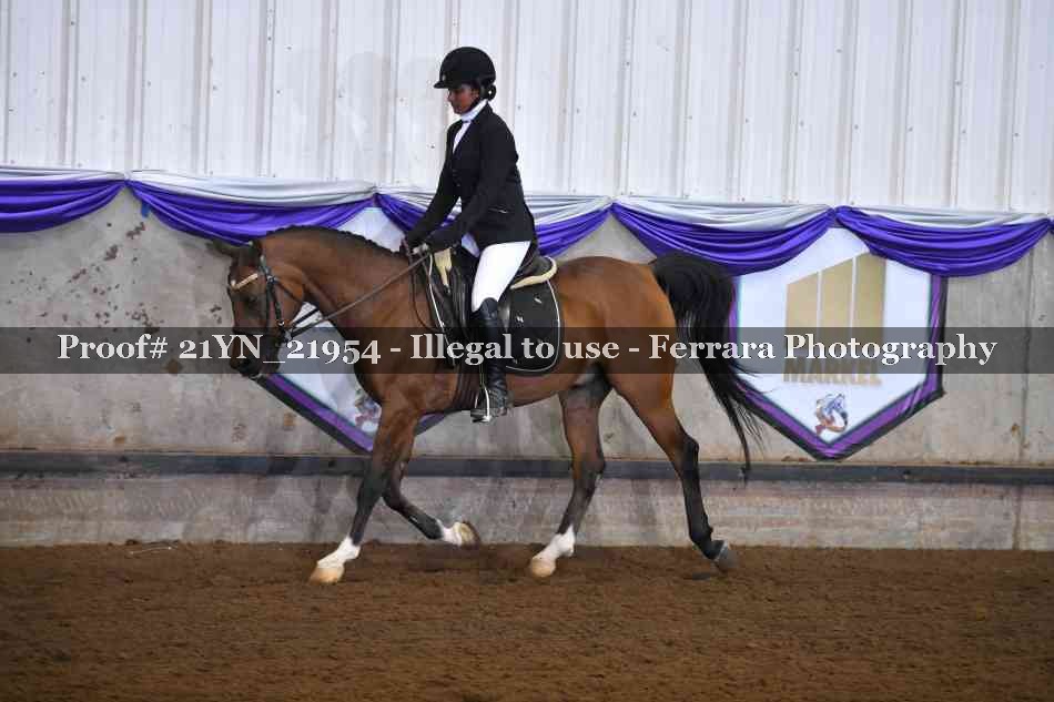 Proof 21YN_21954