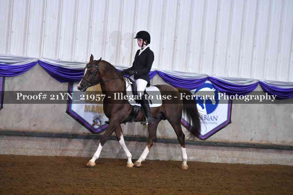 Proof 21YN_21957