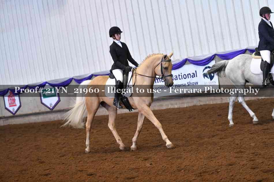 Proof 21YN_21960