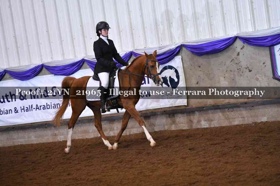 Proof 21YN_21965