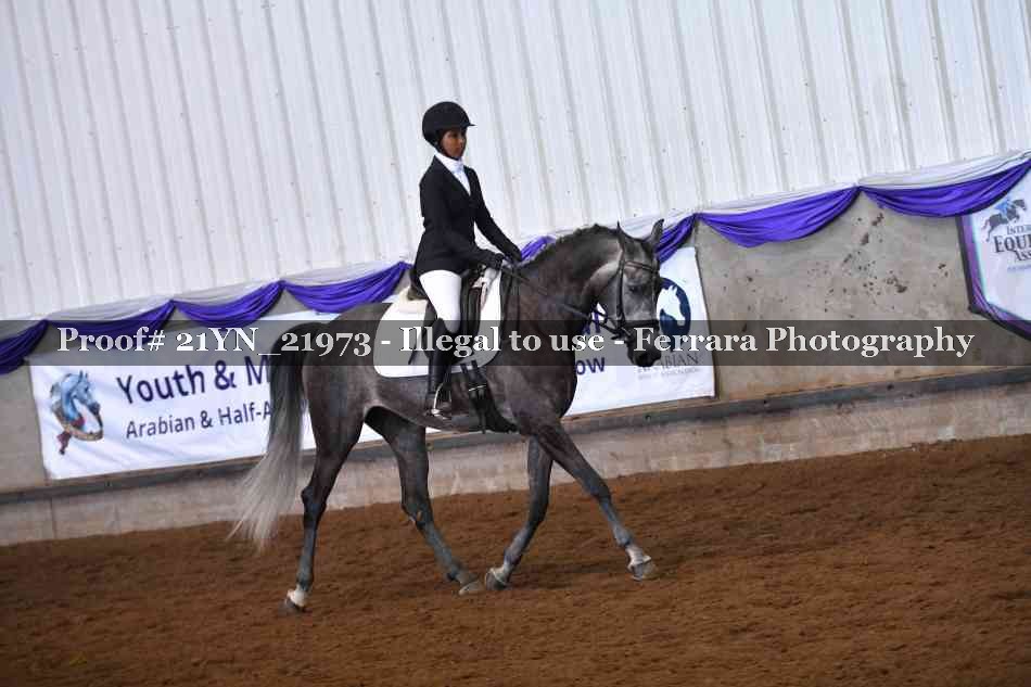 Proof 21YN_21973