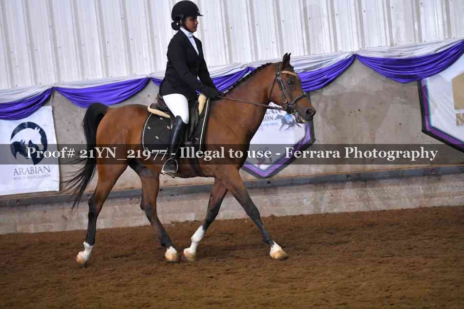 Proof 21YN_21977
