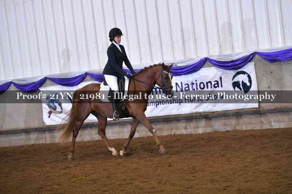 Proof 21YN_21981