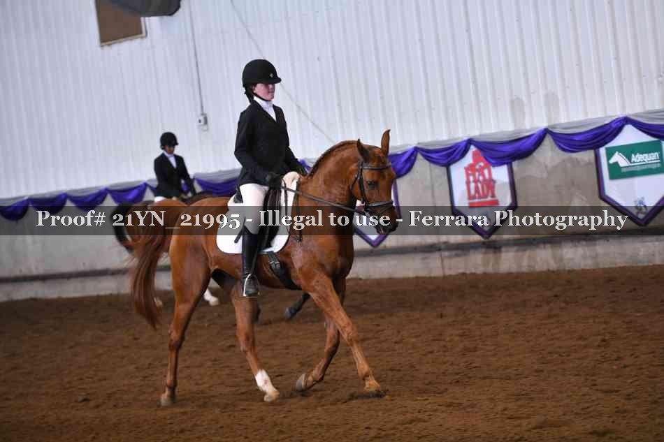 Proof 21YN_21995