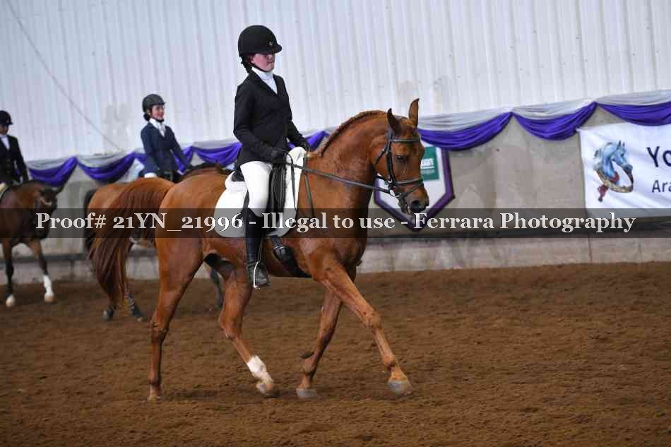 Proof 21YN_21996
