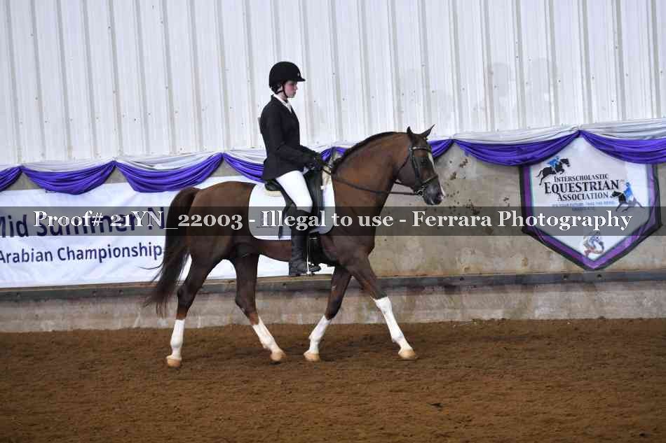 Proof 21YN_22003
