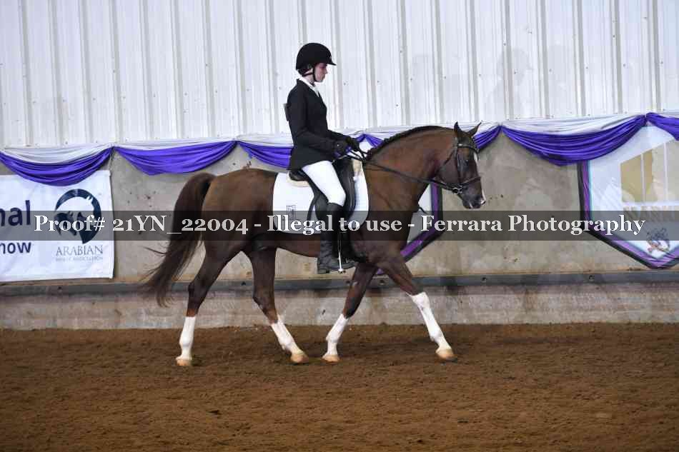 Proof 21YN_22004