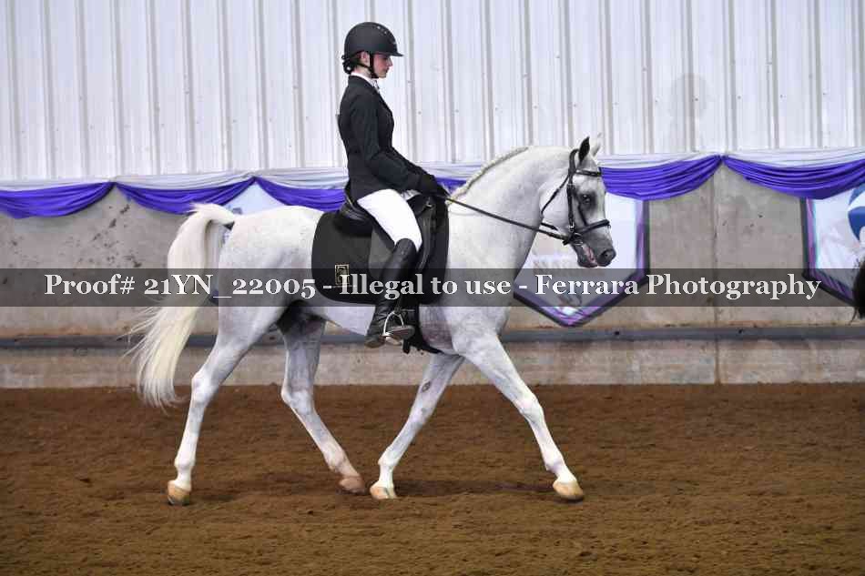 Proof 21YN_22005