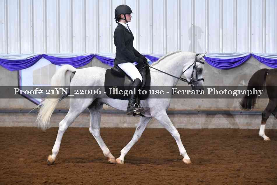 Proof 21YN_22006