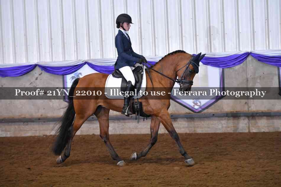Proof 21YN_22010