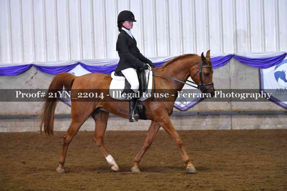 Proof 21YN_22014