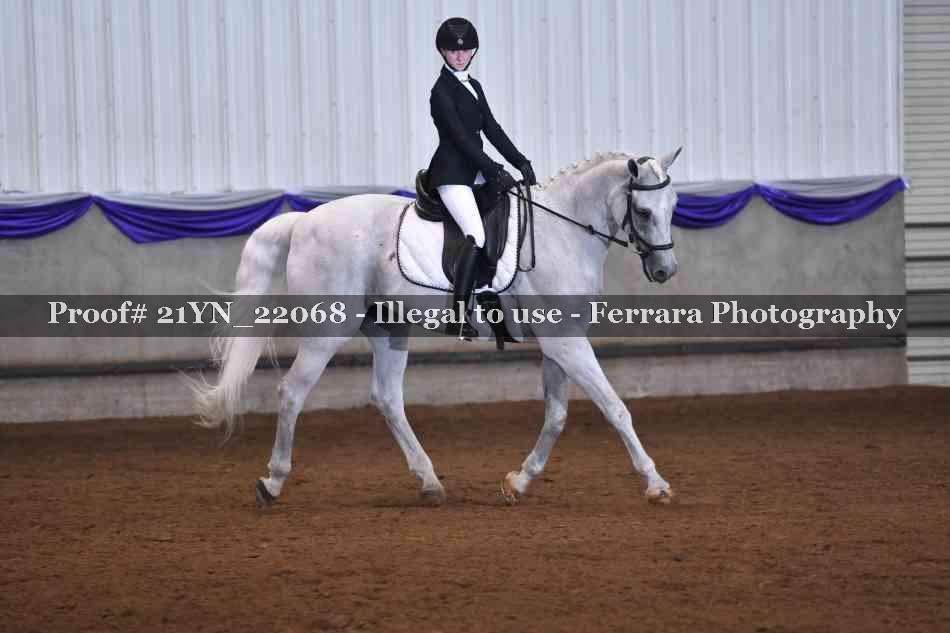 Proof 21YN_22068