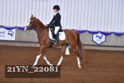 21YN_22081 proof
