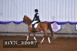 21YN_22087 proof