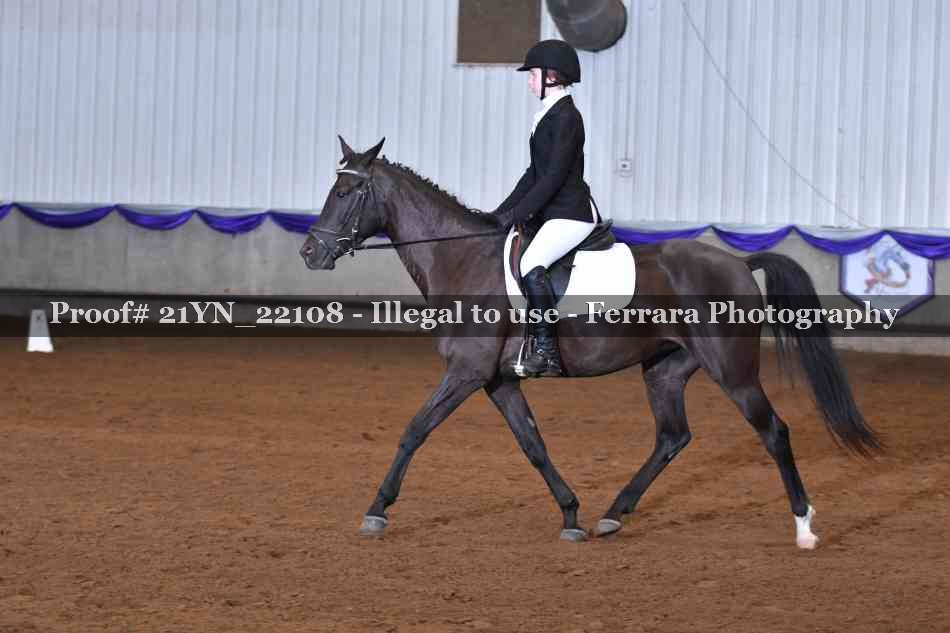 Proof 21YN_22108