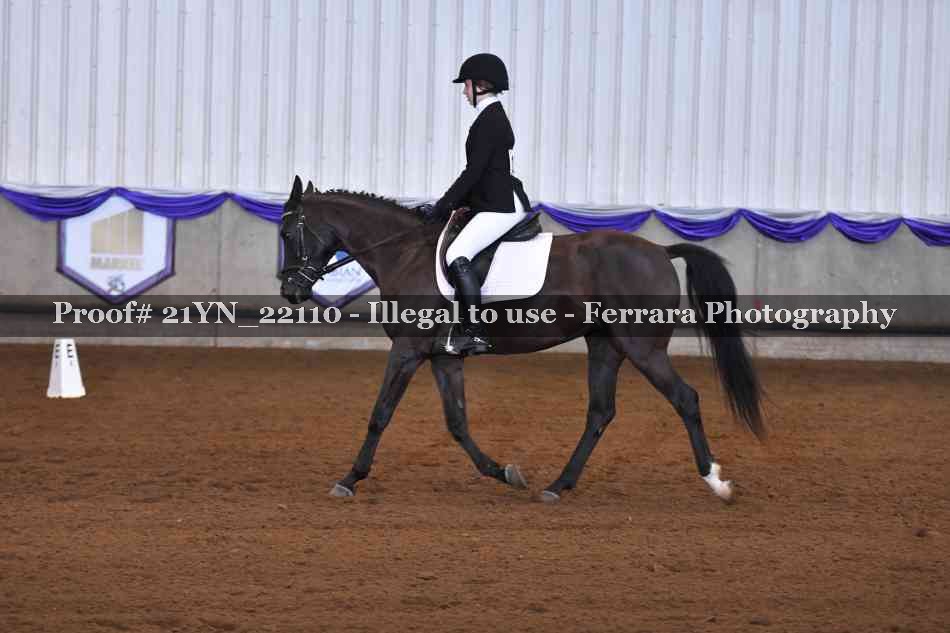 Proof 21YN_22110