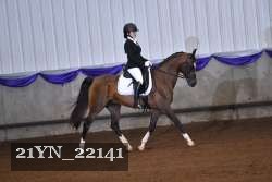 21YN_22141 proof
