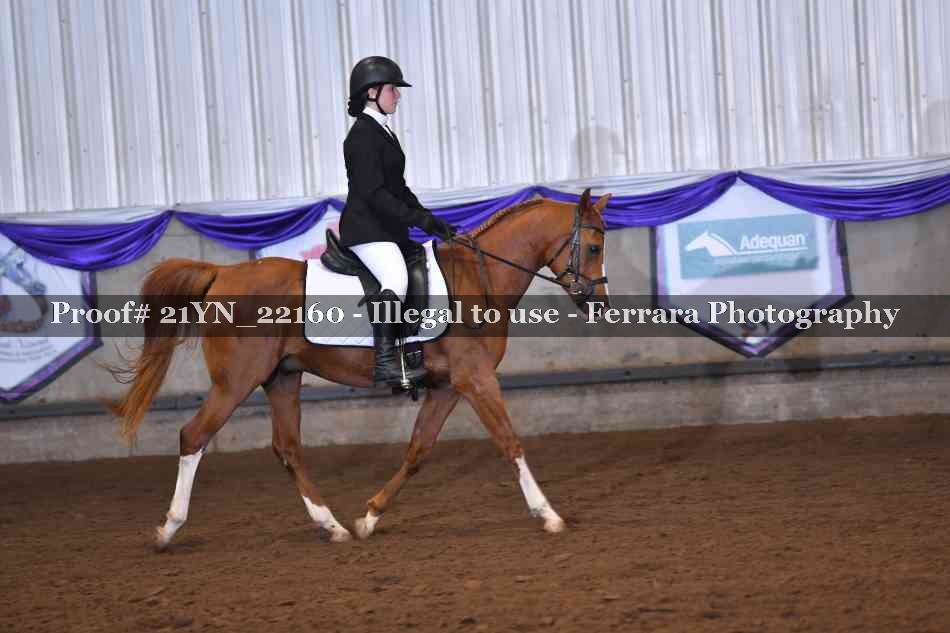 Proof 21YN_22160