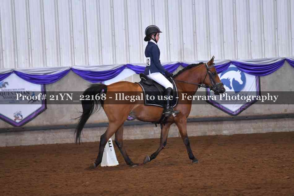 Proof 21YN_22168