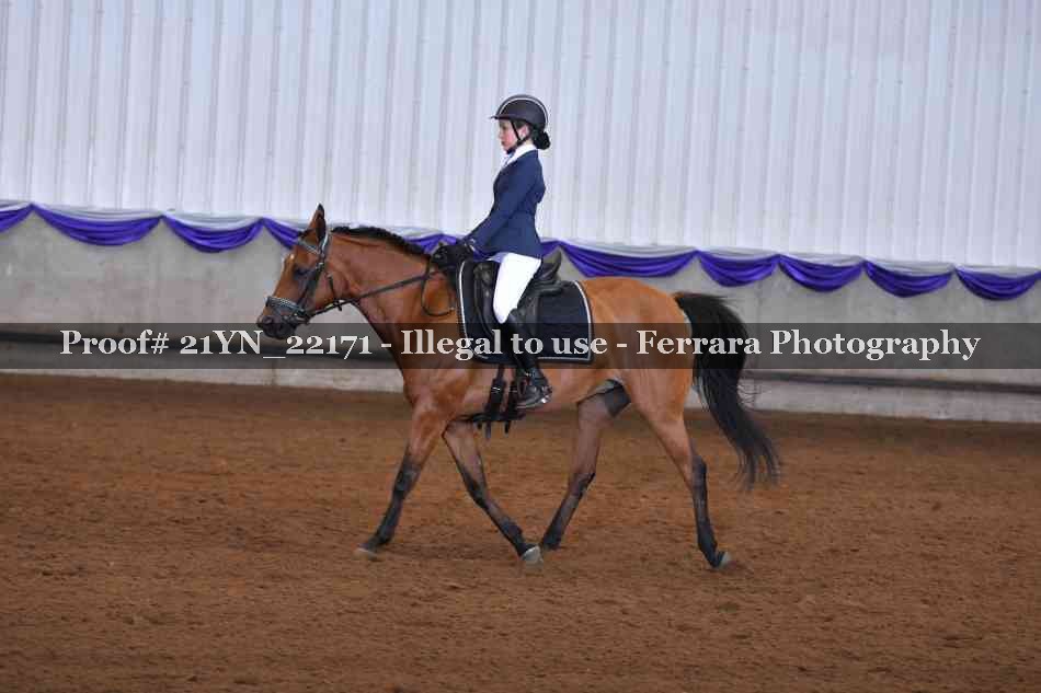 Proof 21YN_22171