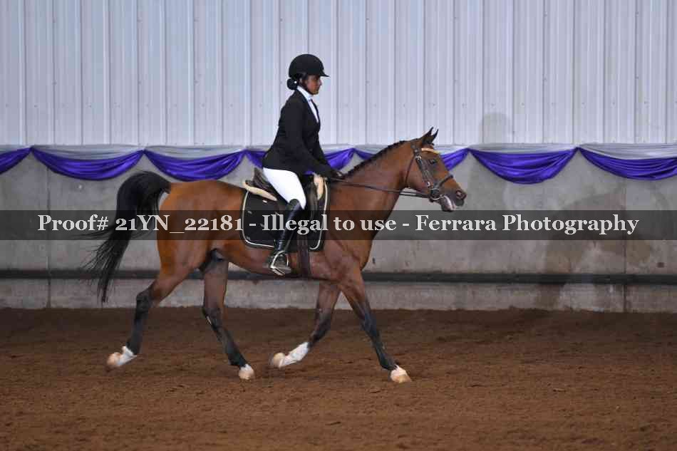 Proof 21YN_22181
