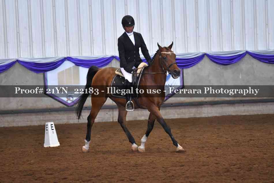 Proof 21YN_22183