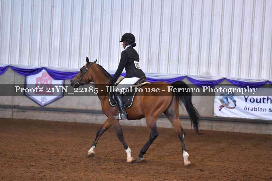 Proof 21YN_22185