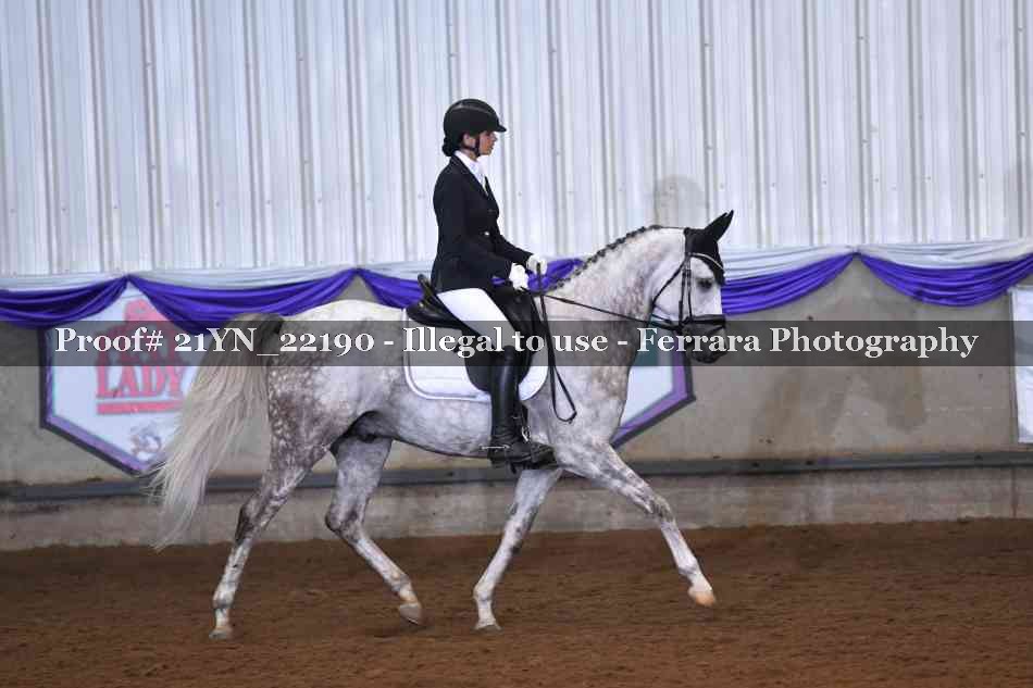 Proof 21YN_22190